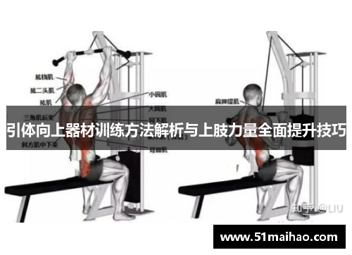 引体向上器材训练方法解析与上肢力量全面提升技巧