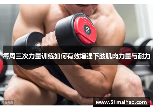 每周三次力量训练如何有效增强下肢肌肉力量与耐力