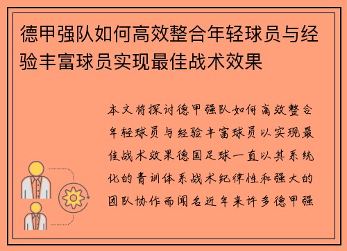 德甲强队如何高效整合年轻球员与经验丰富球员实现最佳战术效果