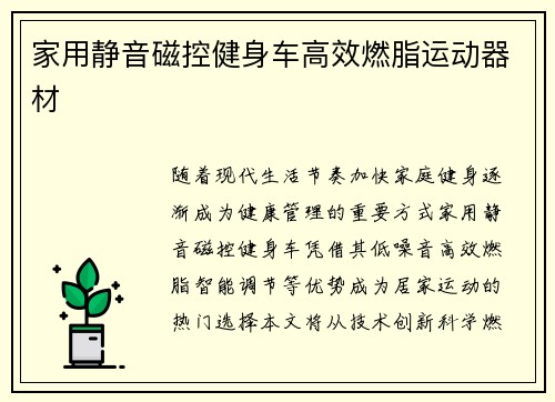 家用静音磁控健身车高效燃脂运动器材